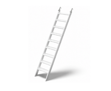 Internal Ladder