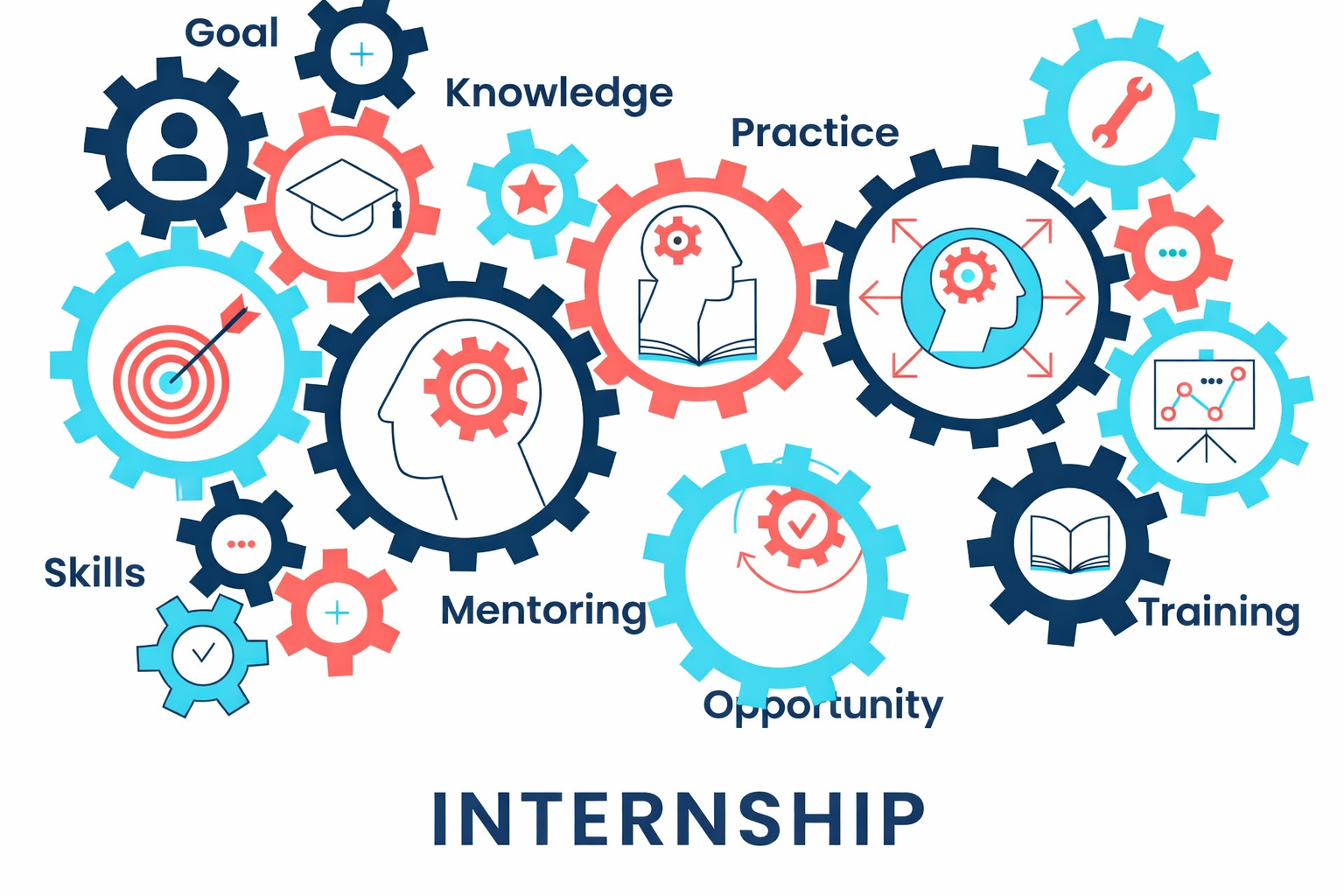 Internship for Fresh Graduates